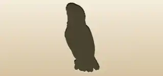 Parrot