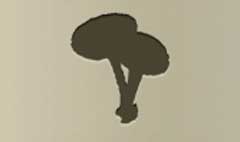 Toadstools silhouette