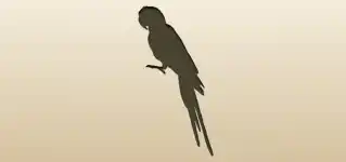 Parrot