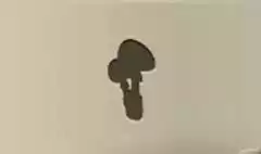 Toadstools