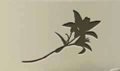 Tiger Lily silhouette