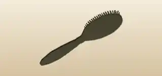 Hair Brush
