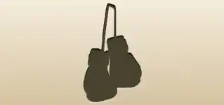 Boxing Gloves