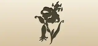 Tiger Lily
