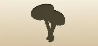 Toadstools
