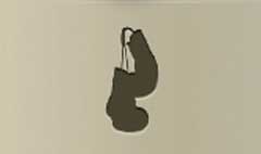 Boxing Gloves silhouette