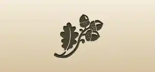 Acorns