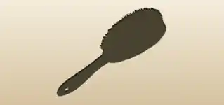 Hair Brush
