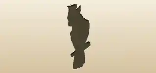 Parrot