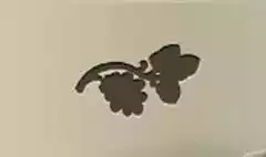 Acorns