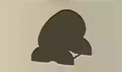 Barrel