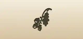 Acorns