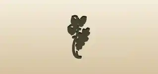 Acorns