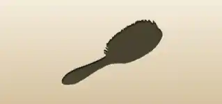 Hair Brush