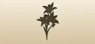 Tiger Lily