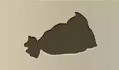 Money Sack