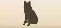 イヌ