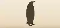 ペンギン