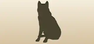 イヌ