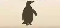 ペンギン