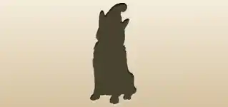 イヌ
