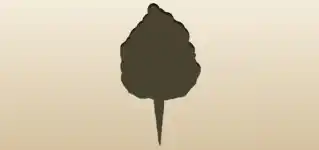 綿菓子