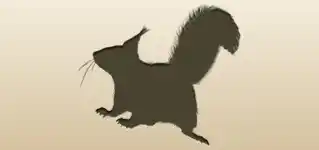 リス