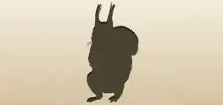 リス