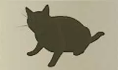 ネコ