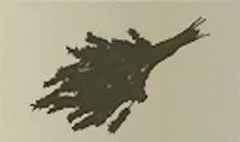 ドライフラワー