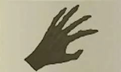 手