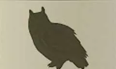 フクロウ