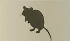Rat silhouette