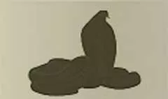 ヘビ