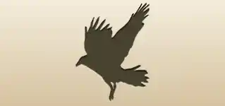 Crow