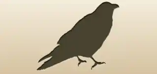 Crow