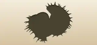 Chestnut
