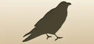 Crow