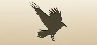 Crow