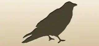 Crow