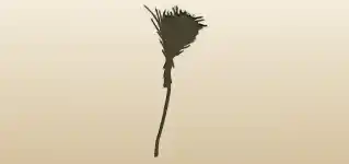 Broom