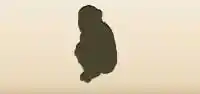 サルのシルエット
