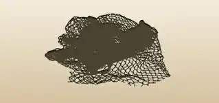 Net silhouette