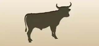 Ox silhouette