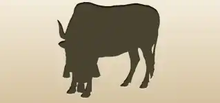 Ox silhouette