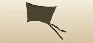 Kite silhouette