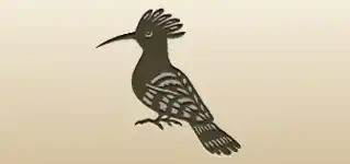 ヤツガシラ