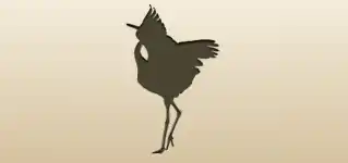Crane silhouette