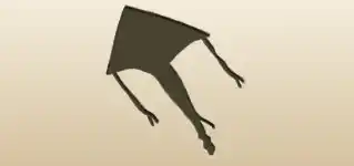 Kite silhouette