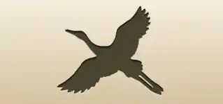 Crane silhouette